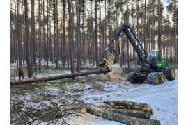 <b> GM. CZERSK. Prace przy rozbudowie i modernizacji drogi krajowej nr 22 – wycinka drzew (ZDJĘCIA)</b>