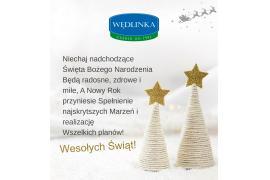 <b>ŻYCZENIA ŚWIĄTECZNE <br> od Firmy Wędlinka</b>