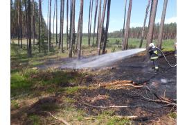 <b>GM. CZERSK. Po ćwiczeniach z zakresu taktyki gaszenia pożarów lasów strażacy gasili pożar w... lesie. Przyczyna? Uderzenie pioruna (ZDJĘCIA)</b>