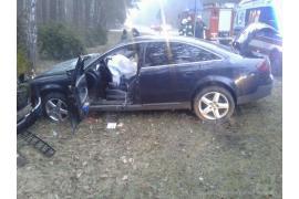 <b>DK 22. Audi uderzyło w drzewo. Kierowca trafił do szpitala (FOTO)</b>