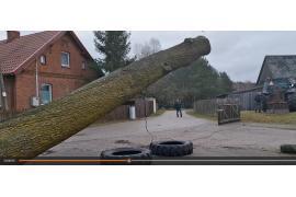 <b> REGION. Kamil Szarmach: Ścinka na opony? Dlaczego? (WIDEO) </b>