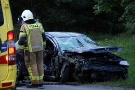 <b>Wypadek na berlince w pobliżu Łęga. Opel uderzył w przydrożne drzewo (ZDJĘCIA)</b>