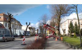 <b>Pracownicy AZK przycinają drzewa przy ul. Dworcowej w Czersku</b>
