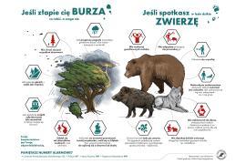 <b>Nadleśnictwo Czersk. Jak zachować się w sytuacji kryzysowej w lesie? (INFOGRAFIKI)</b>