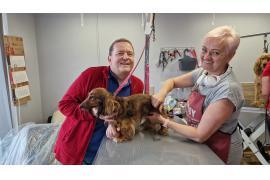 <b> CZERSK. BARBER DOG. Klient: Naszą jamniczą piękność oddajemy tylko w ręce Pani Wiesławy (ZDJĘCIA) </b>