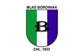 <b>Wybory w Miejskim Ludowym Klubie Sportowym `Borowiak` Czersk</b>