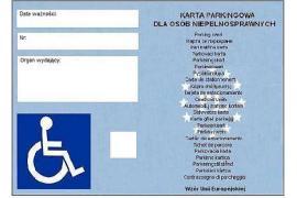 <b>`Koperty` dla osób niepełnosprawnych. Kto może z nich korzystać i co grozi za bezprawne zaparkowanie? Przeczytaj!</b>