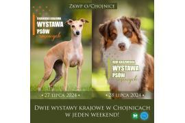 <b>POW. CHOJNICKI. DWIE WYSTAWY KRAJOWE W JEDEN WEEKEND (SOBOTA, NIEDZIELA)</b>