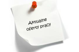 <b> OFERTA PRACY. Kierowca kat C lub C+E, praca w auto handlu</b>