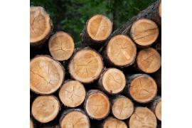 <b>Spotkanie z przedstawicielami Grupy Kronospan, Stowarzyszenia Chojnickiego Alarmu dla Klimatu oraz Nadleśnictwa Rytel. Zaproszenie dla mieszkańców</b>