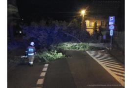 <b>Interwencja OSP w Czersku. Przewrócone drzewo przy kościele</b>