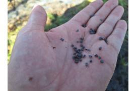 <b>CZERSK. Czytelnik: `Gumowy pokarm dla kaczek w czerskim parku`</b>