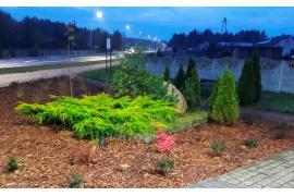 <b>GM. CZERSK. Zagospodarowanie terenu zieleni w Sołectwie Gutowiec (ZDJĘCIA, PODZIĘKOWANIA)</b>