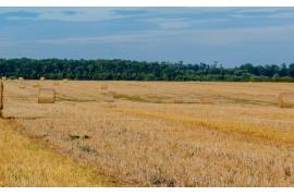 <b>GM. KARSIN. SPRZEDAM GRUNT ROLNY: 5, 35 ha – różne możliwości zagospodarowania</b>