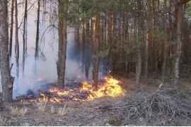 <b>Zagrożenie pożarowe na terenach leśnych Parku `Bory Tucholskie`</b>