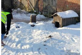 <b>GM. CZERSK. Urzędnicy kontrolują warunki bytowe zwierząt w okresie zimy. Jakie są wyniki kontroli?</b>