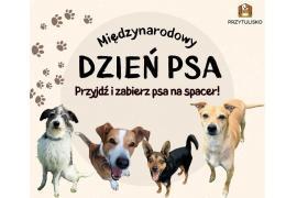 <b>Międzynarodowy Dzień Psa. Apel schroniska</b>