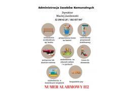 <b>AKTUALIZACJA - publikacja ulotek. CZERSK. Martwy kot leżał na ulicy. Czytelniczka: Zadzwoniłam pod 112</b>