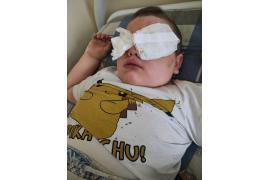 <b>CZERSK. Leczenie Nikosia z Czerska - jeden z najtrudniejszych dni w naszym życiu</b>