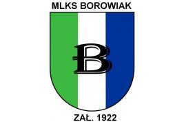 <b> MLKS BOROWIAK CZERSK. Spotkanie chłopców do drużyny rocznika 2017 </b>