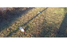 <b>CZERSK. Mieszkaniec: Nie zaśmiecajcie terenów zielonych (FOTO)</b>