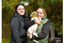 <b>CZERSK. DWA PIESKI ADOPTOWANE, DWA WCIĄŻ CZEKAJĄ… Są łagodne, wierne i gotowe pokochać człowieka całym sercem (ZDJĘCIA)</b>