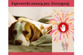 <b>GM. CZERSK. Sylwester i Nowy Rok, apel o rozwagę przy używaniu fajerwerków</b>