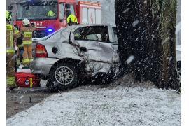 <b>GM. CZERSK. DK22 – Łąg. Auto uderzyło w drzewo. Samochodem podróżowały cztery osoby, dwie dorosłe i dwójka dzieci  (ZDJĘCIA, WIDEO)</b>