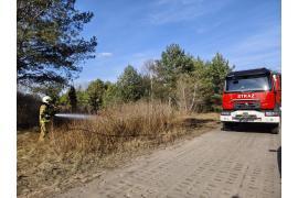 <b>Pożar traw przy ul. Łosińskiej w Czersku (ZDJĘCIA)</b>