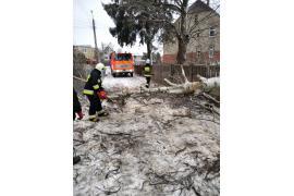 <b>Wichura powaliła drzewo w Łęgu – ul. Łąkowa była zablokowana. Mieszkańcy dziękują strażakom (FOTO)</b>
