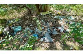 <b>`Wysypisko śmieci` w lesie. Mieszkaniec Czerska proponował, aby ustawić tablice edukacyjne. Jest odpowiedź z czerskiego ratusza</b>