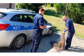 <b>Policjanci zatrzymali mężczyznę, który kłusował w rezerwacie przyrody w Borach Tucholskich</b>