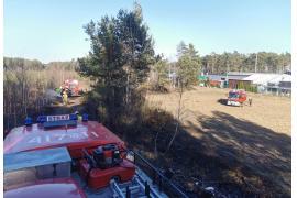 <b>GM. CZERSK. Pożar poszycia leśnego. Strażacy ruszyli do akcji (ZDJĘCIA)</b>